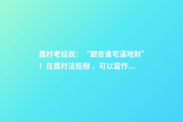 農村老話說：“銀杏進宅滿地財”！在農村這些樹，可以當作鎮宅樹